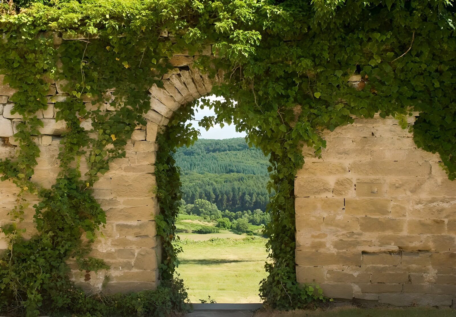 PDGIT8540899: Arco di pietra tra edera e prato