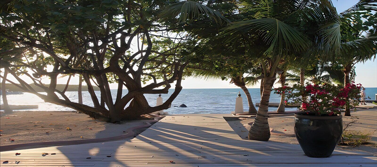 PDGIT1987132: Passerella sul mare tra le palme