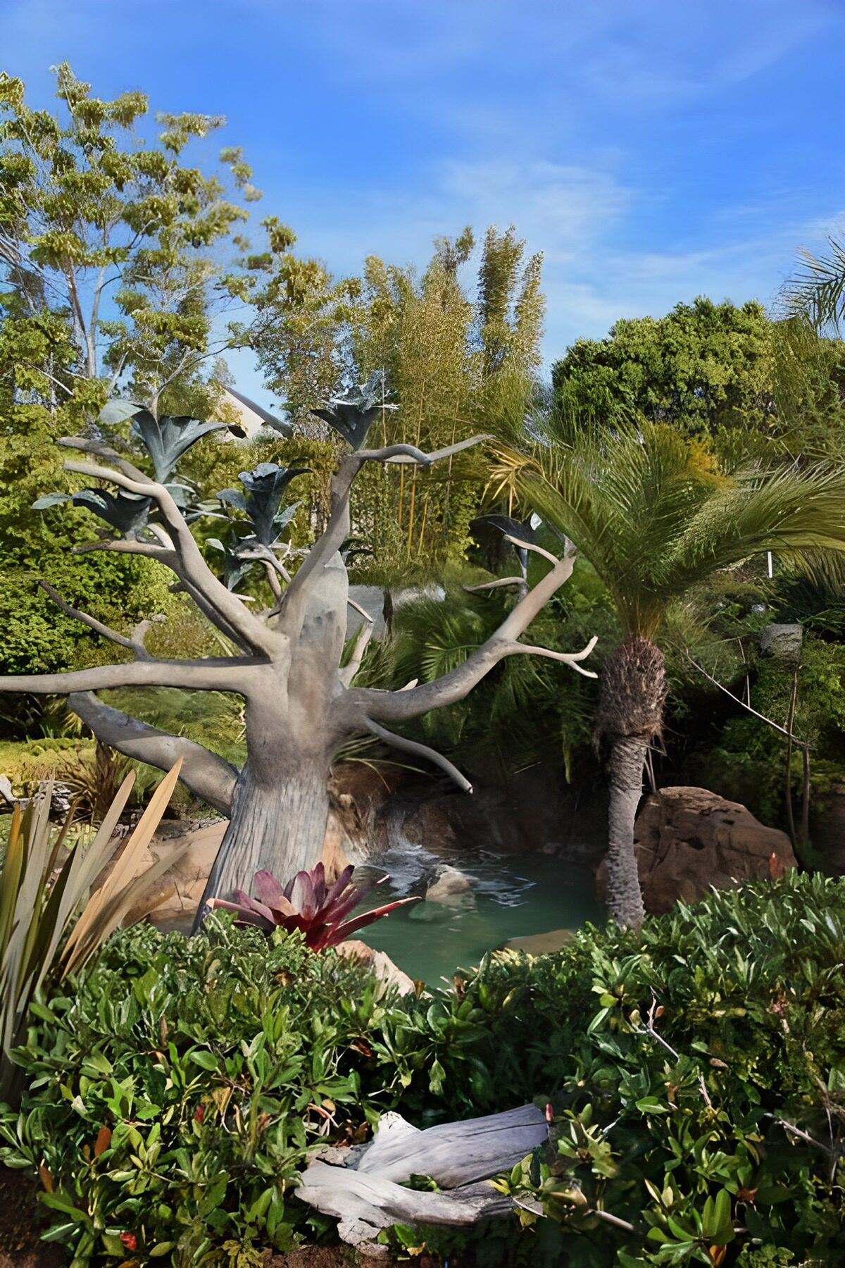 PDGIT3896386: Giardino con palma e stagno all'ombra