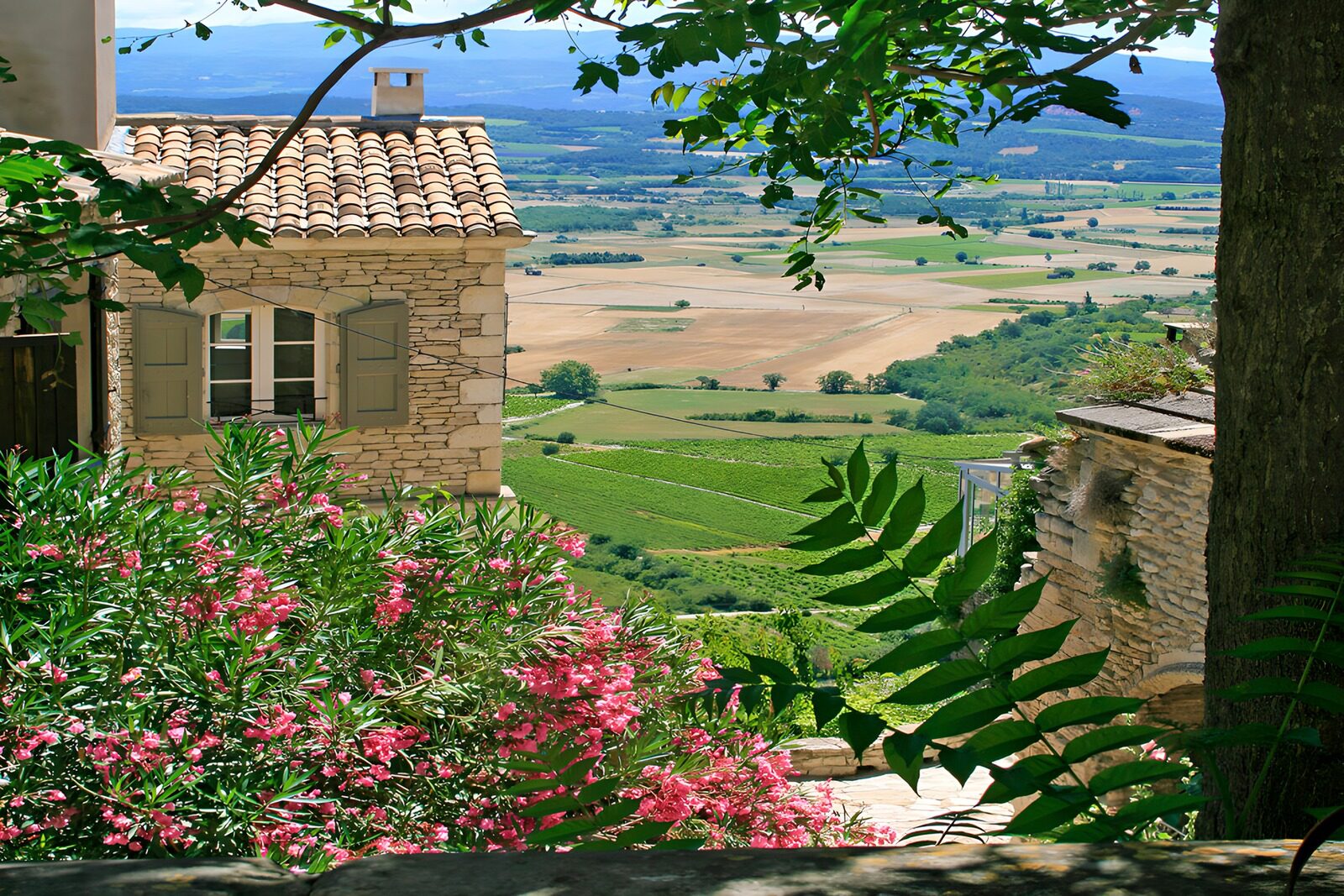 PDGIT4745481: Tra fiori rosa e colline d’estate
