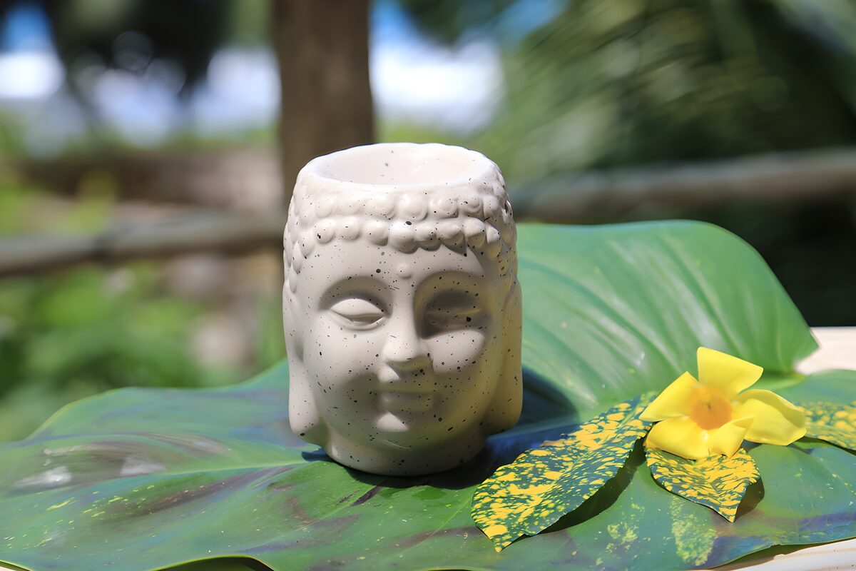 Testa di Buddha su una foglia al sole
