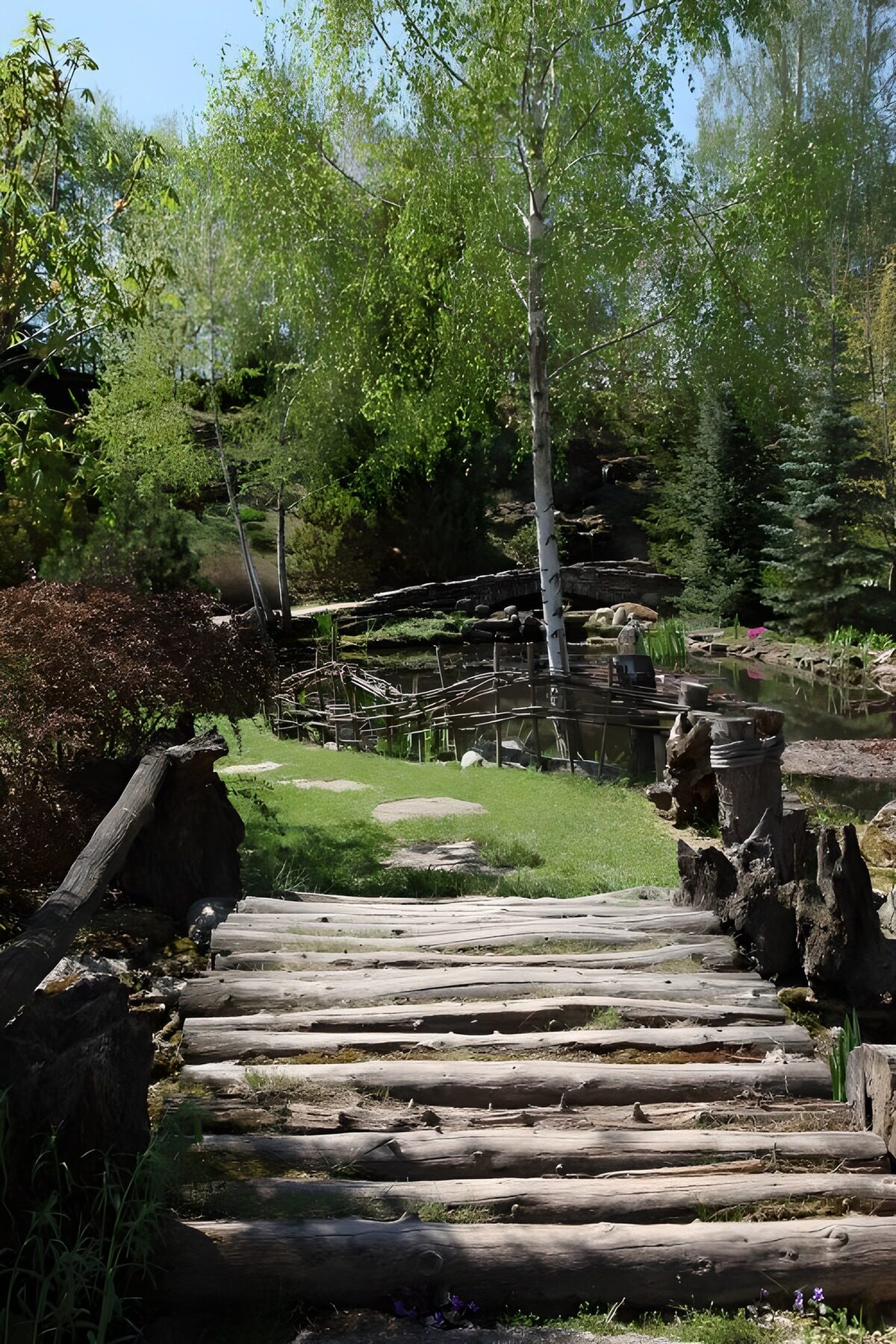 PDGIT4469010: Passerella rustica nel verde del giardino