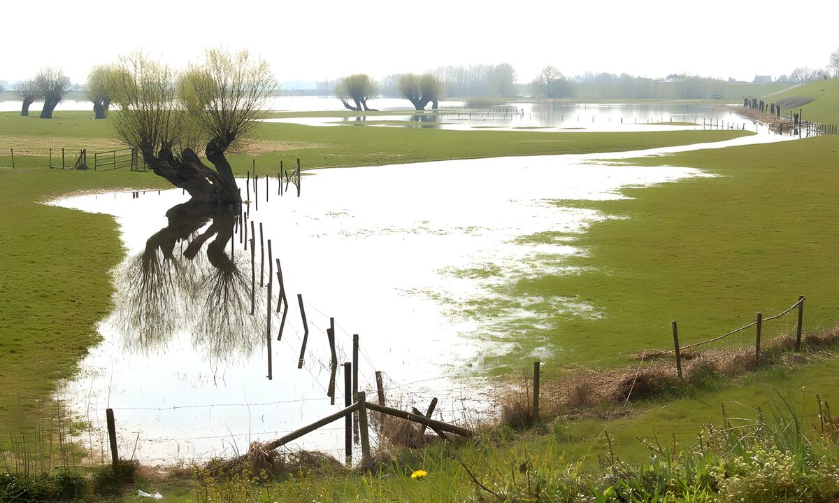 PDGIT1823612: Prato allagato, alberi allo specchio
