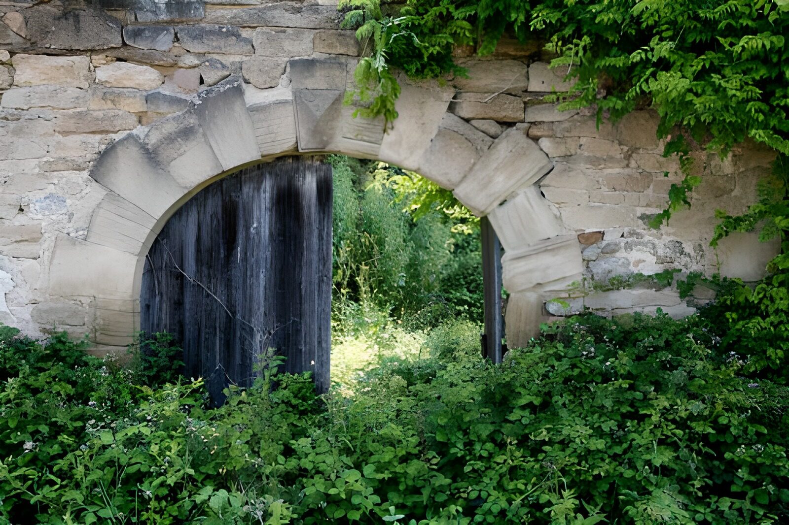 PDGIT7459715: Vecchio arco in pietra immerso nel verde