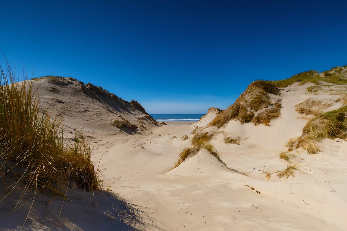 PDGIT4879113: Dune di sabbia e uno scorcio di mare