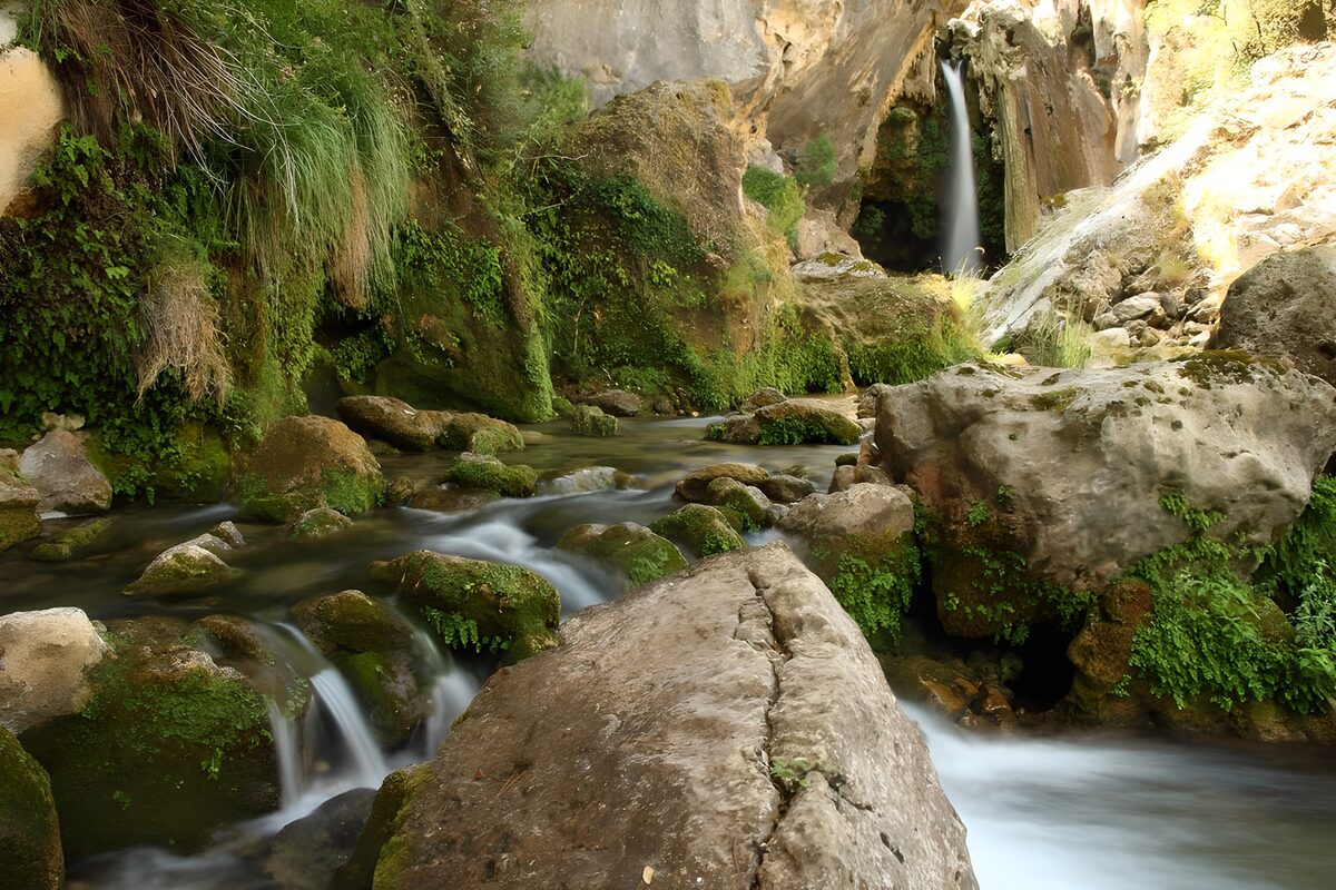 PDGIT7302692: Cascata tra rocce e muschio all’ombra