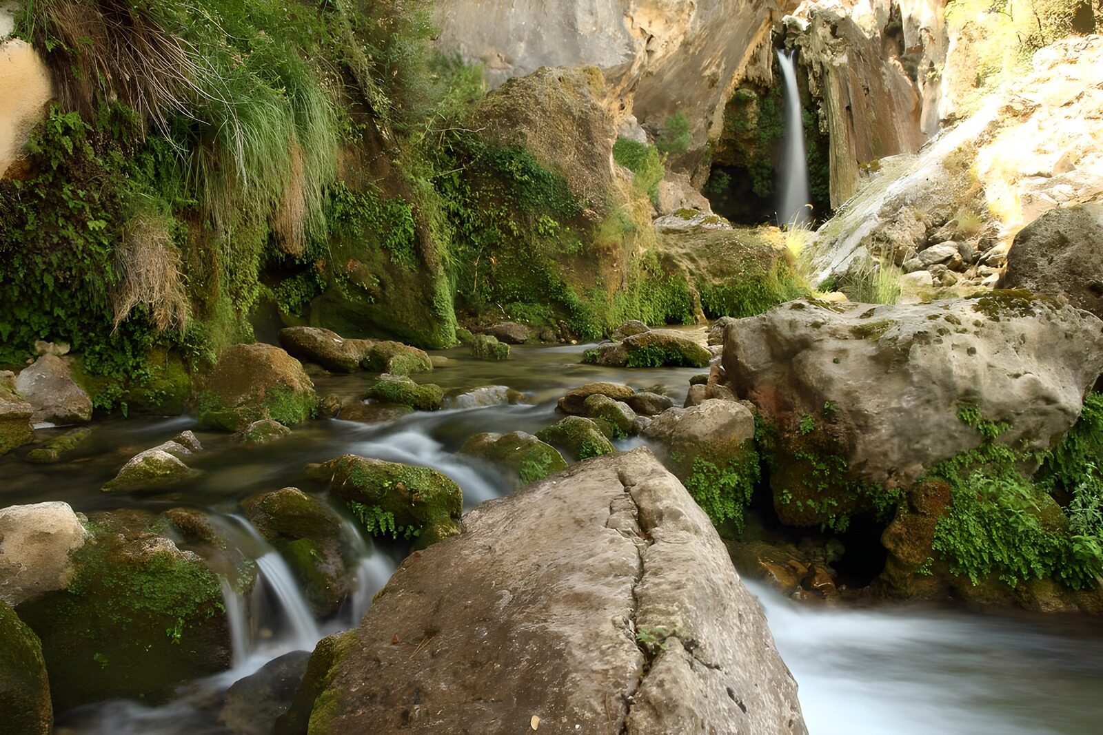 PDGIT7302692: Cascata tra rocce e muschio all’ombra