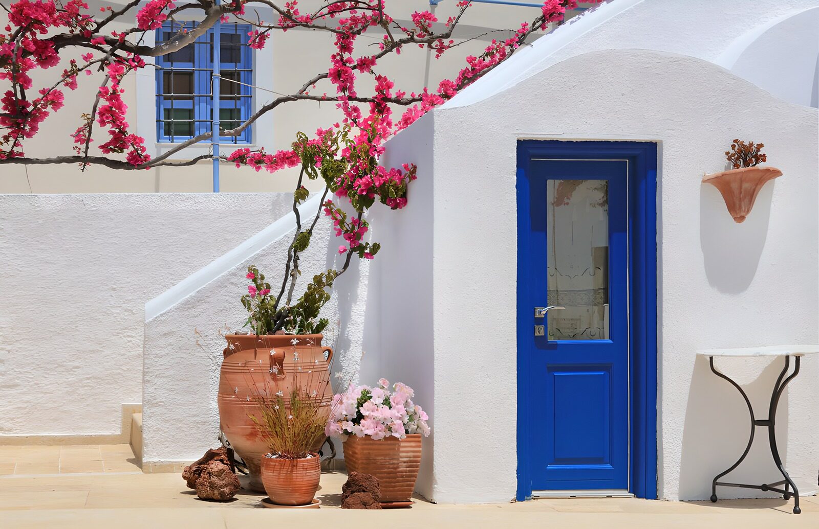 PDGIT5586403: Rosa di bouganville, blu d’estate