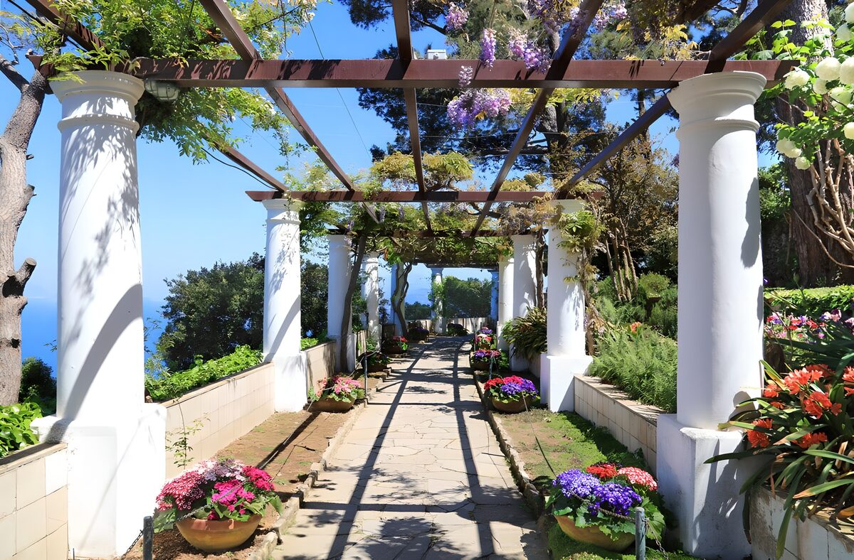 Pergola fiorita tra colonne bianche