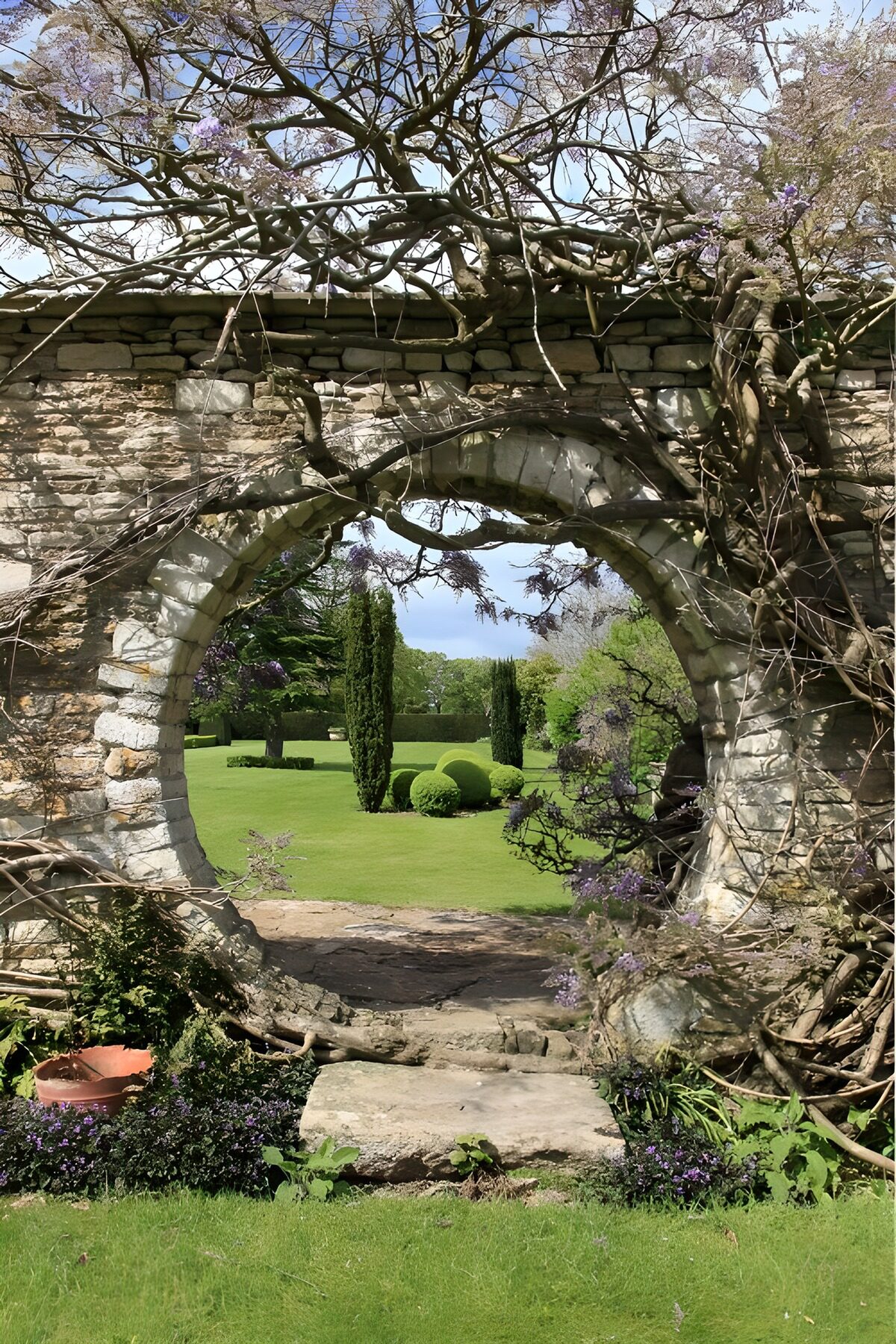 PDGIT6181486: Tra rami e pietra, un giardino di luce