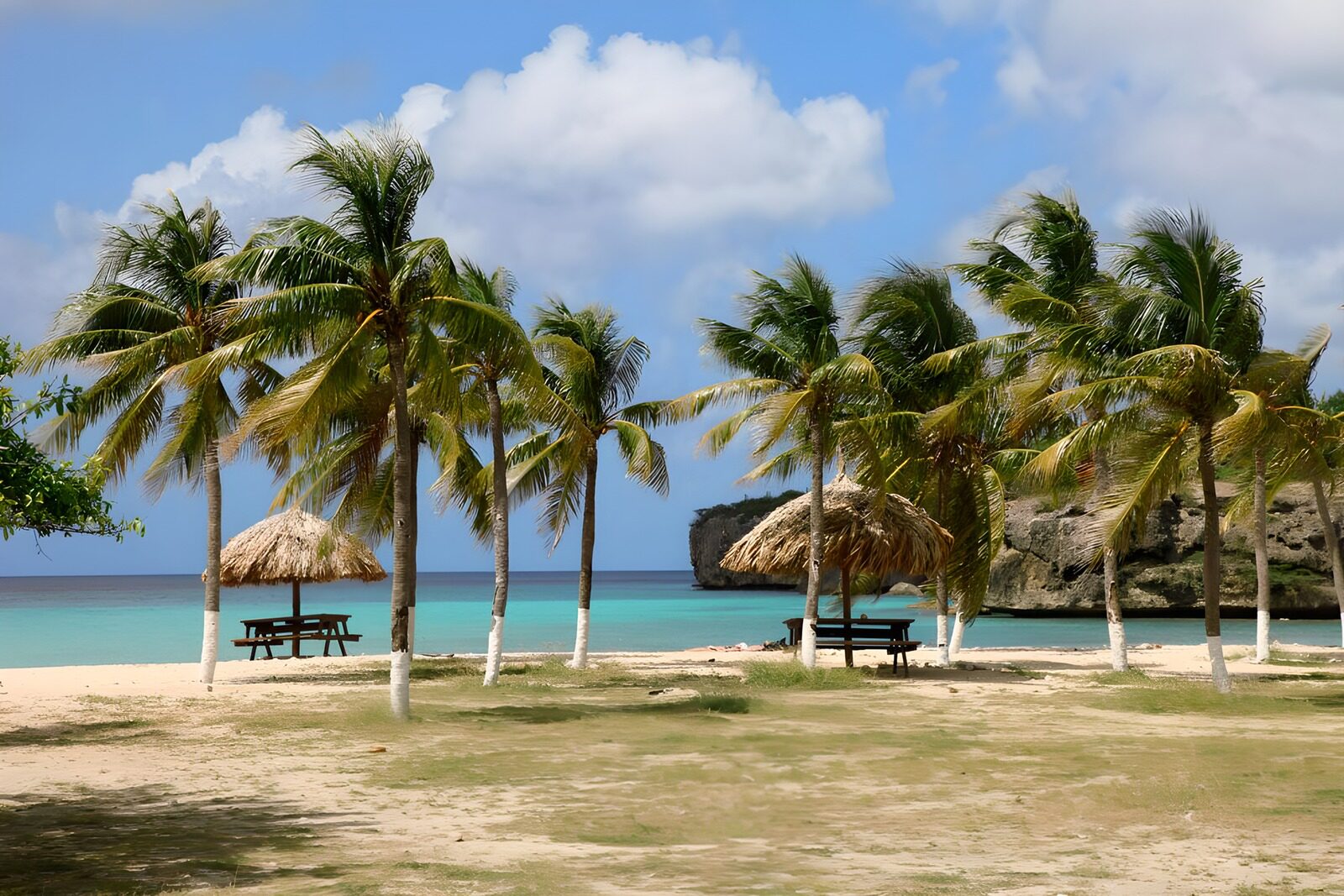PDGIT7150253: Spiaggia tropicale con palme e ombrelloni
