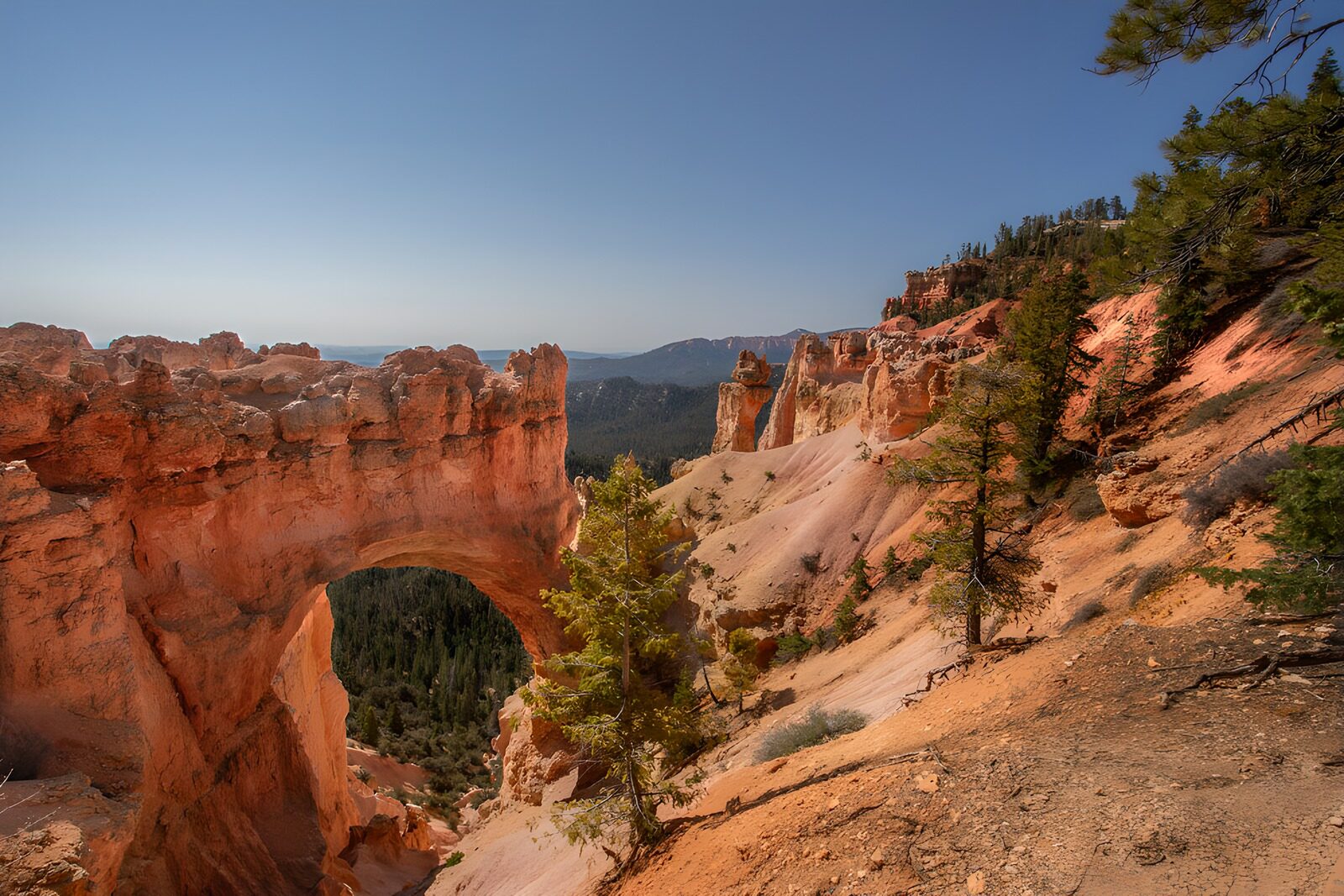 PDGIT4987766: Arco di roccia rossa nella luce del sole