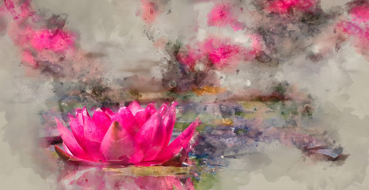 Fiore d’acqua rosa su fondo sfumato
