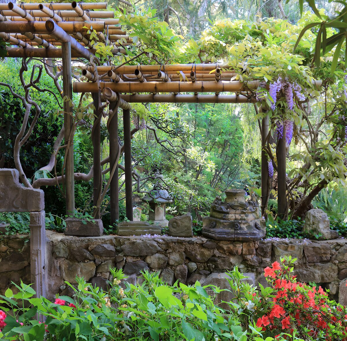 PDGIT7213324: Pergola di bambù tra glicini e fiori rossi