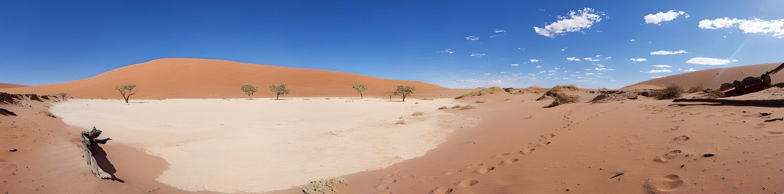 PDGIT5855316: Dune arancioni e alberi sulla sabbia
