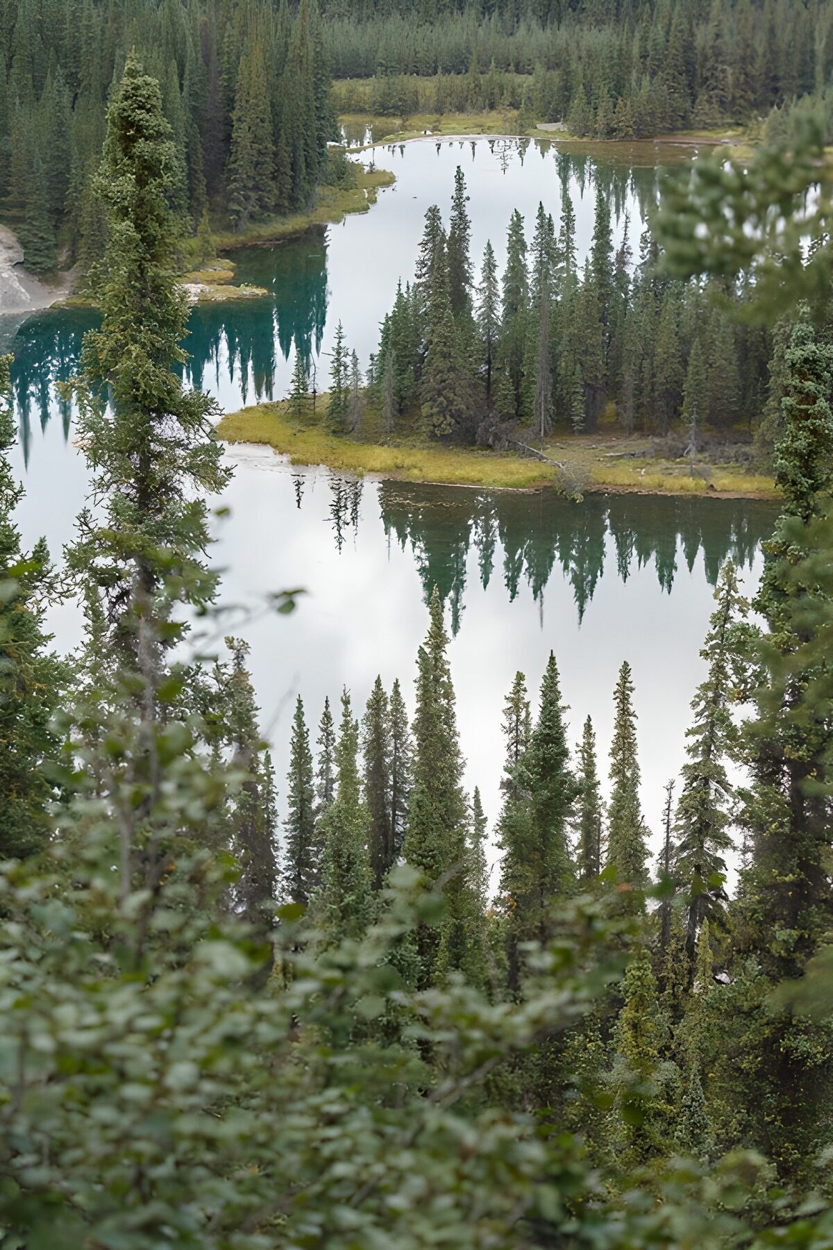 PDGIT7231786: Lago quieto tra le conifere