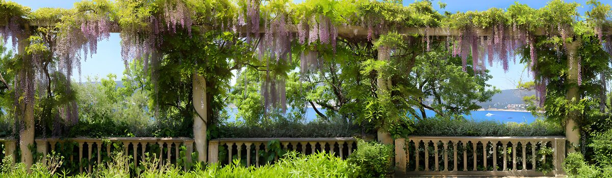 PDGIT4307652: Pergola di glicine con vista mare