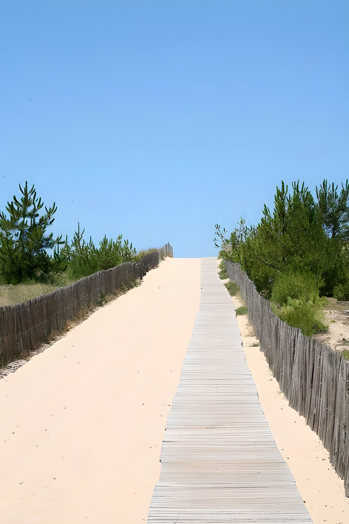 PDGIT3033474: Passerella di legno tra dune assolate