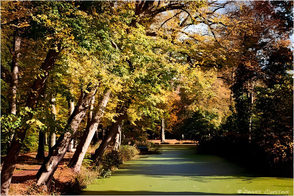 PDGIT1507683: Acqua verde tra gli alberi d’autunno