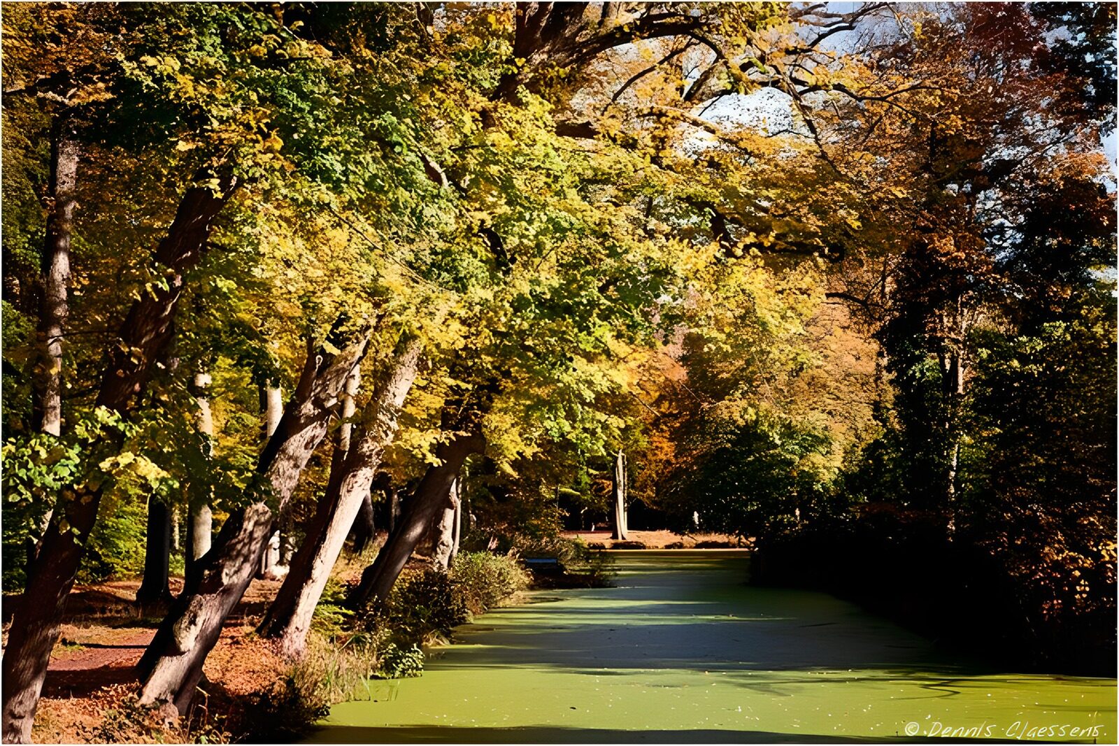 PDGIT1507683: Acqua verde tra gli alberi d’autunno