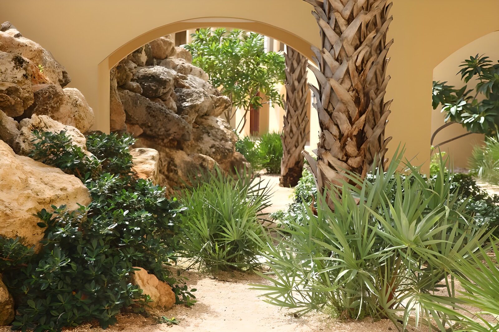 PDGIT6280115: Palme e archi in un cortile color ocra