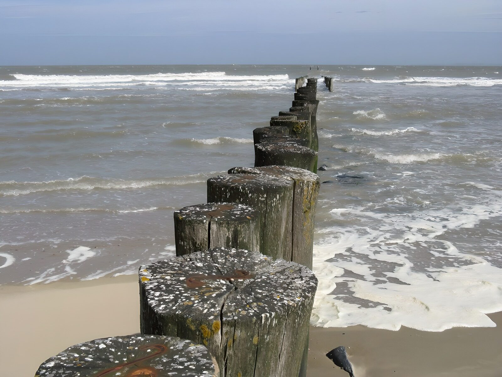 PDGIT9074465: Frangiflutti in legno nel mare mosso