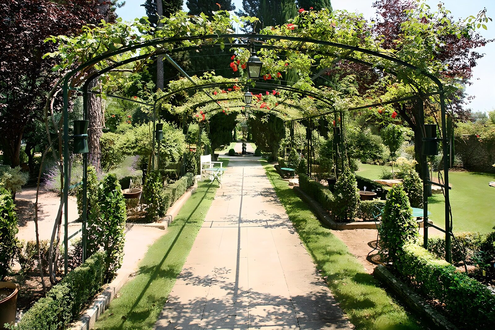 PDGIT8748284: Vialetto al sole tra archi di rose