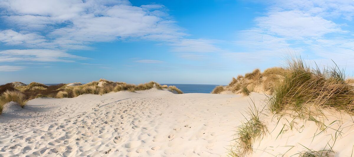 PDGIT8655727: Dune chiare e mare sotto nuvole leggere