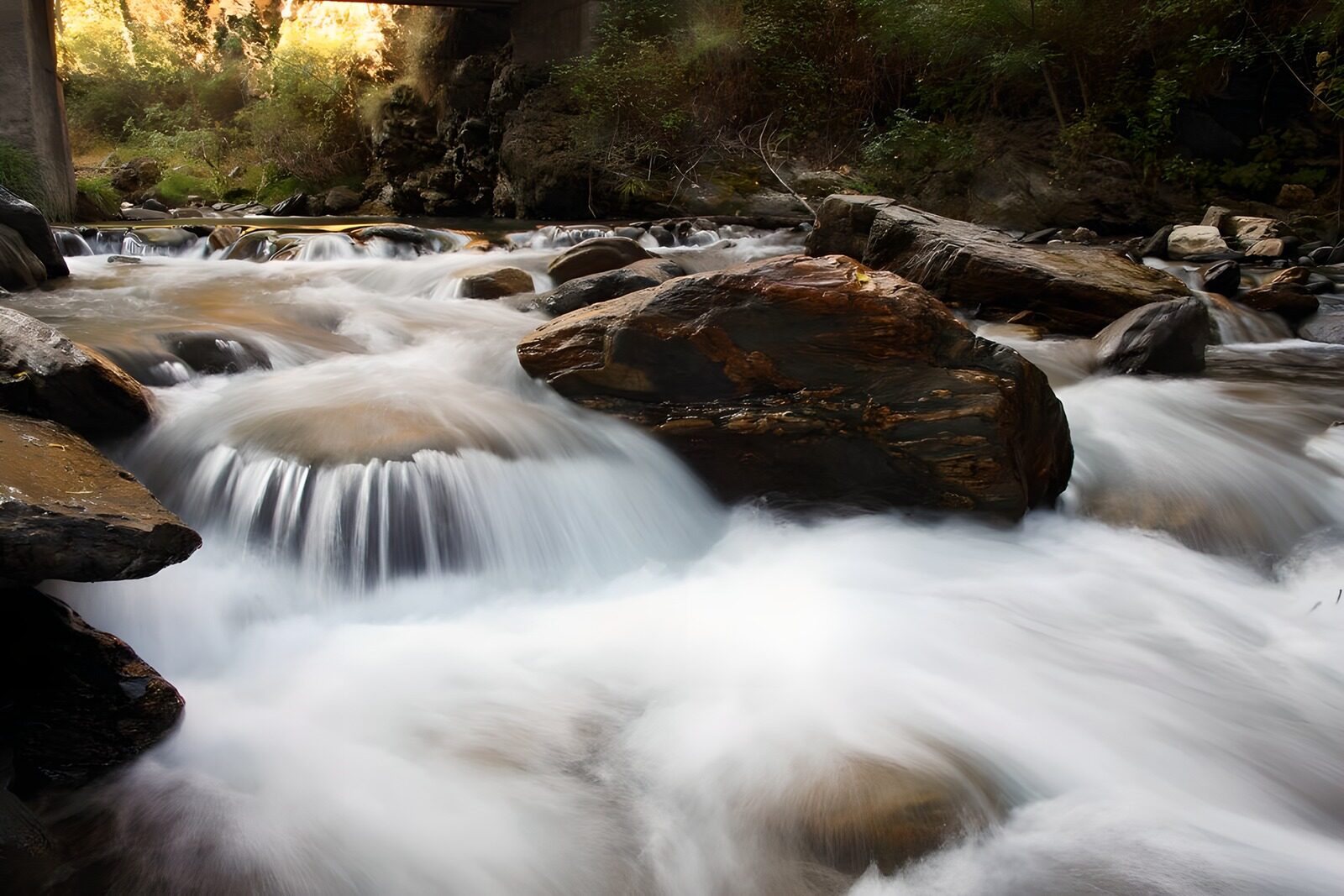 PDGIT2409819: Torrente tra rocce e ombre del bosco