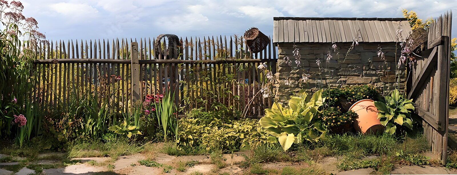 PDGIT5433969: Giardino rigoglioso tra fiori e staccionata