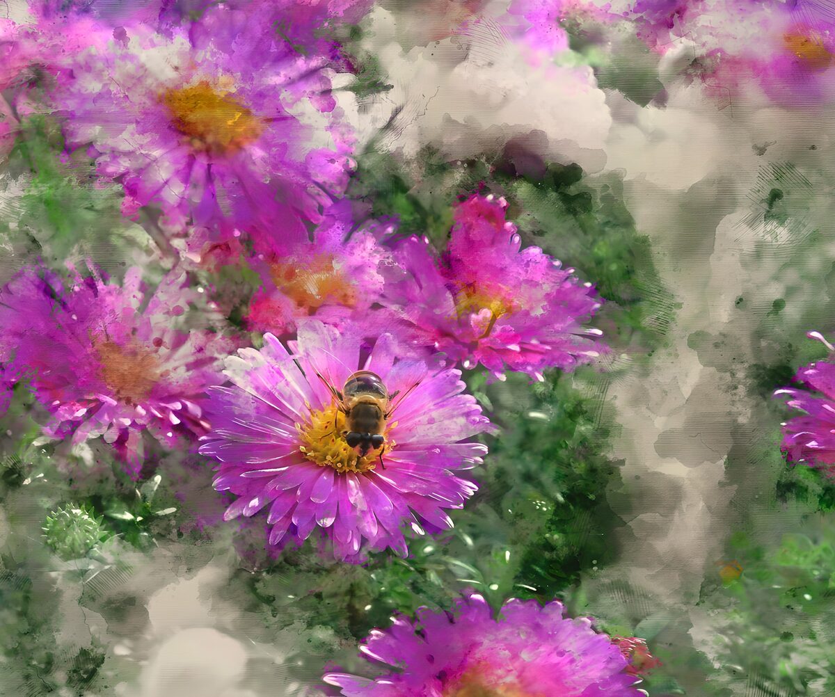 PDGIT2615560: Fiori rosa e viola in una luce lieve