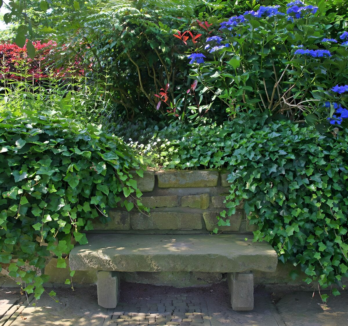 PDGIT8587306: Panchina in pietra tra edera e fiori blu