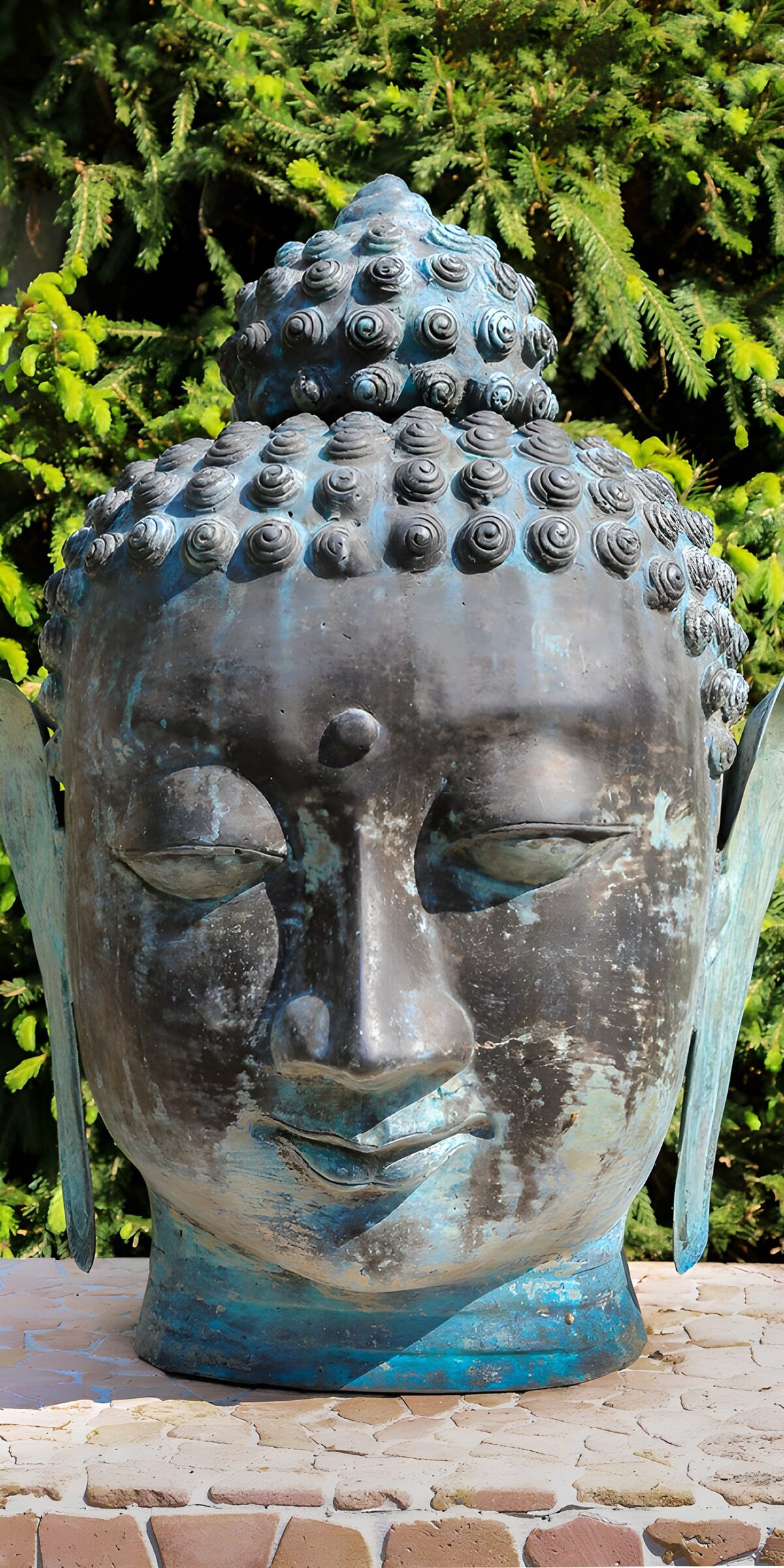 PDGIT5992762: Testa di Buddha tra le conifere