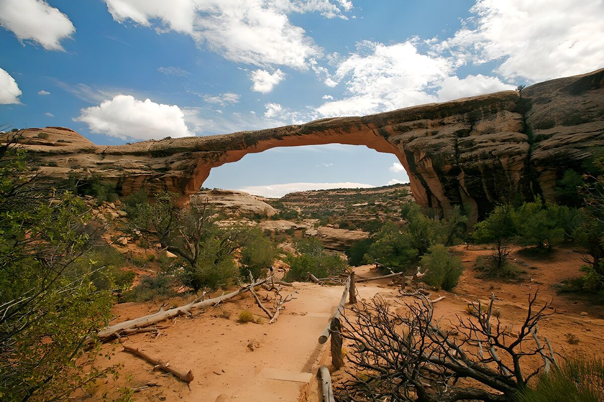 PDGIT7344701: Arco di roccia sul sentiero sabbioso
