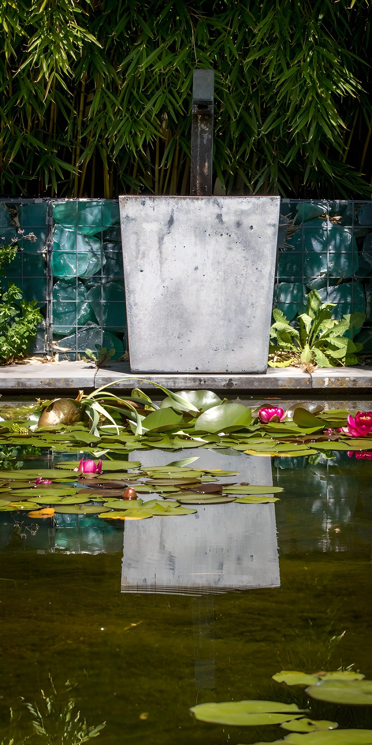 Ninfee rosa e bambù sull’acqua