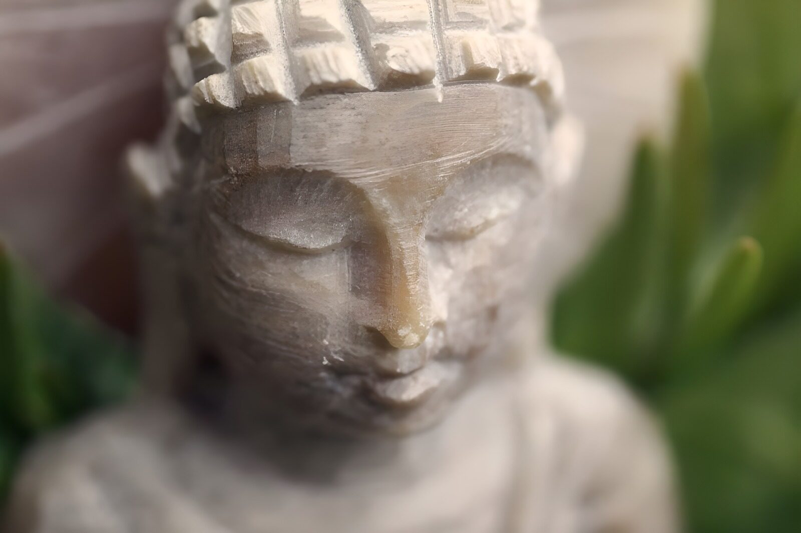 PDGIT6677772: Primo piano di Buddha in quiete