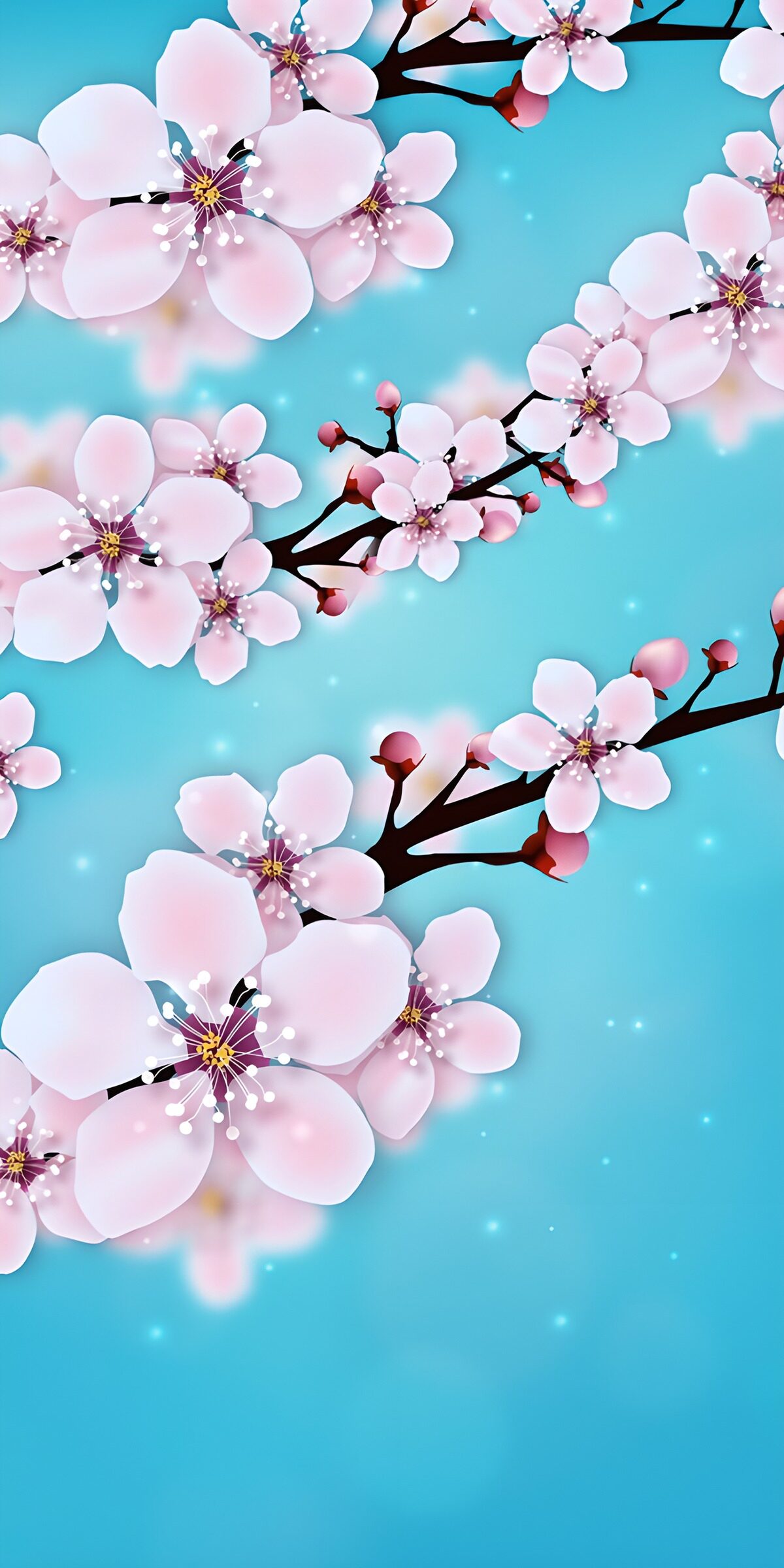 PDGIT9569717: Fiori di ciliegio rosa su fondo turchese