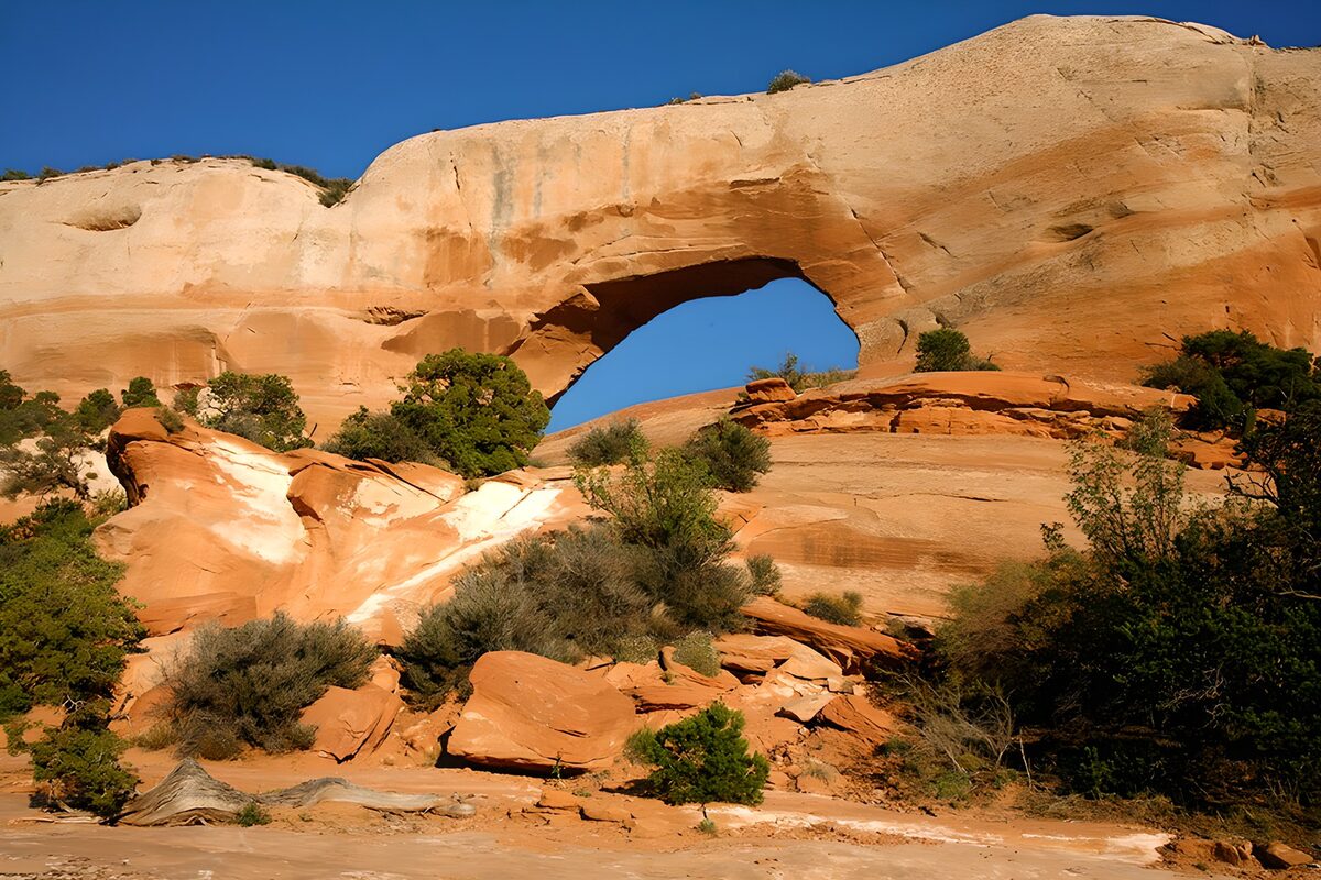 PDGIT4410974: Arco di arenaria tra rocce assolate e arbusti