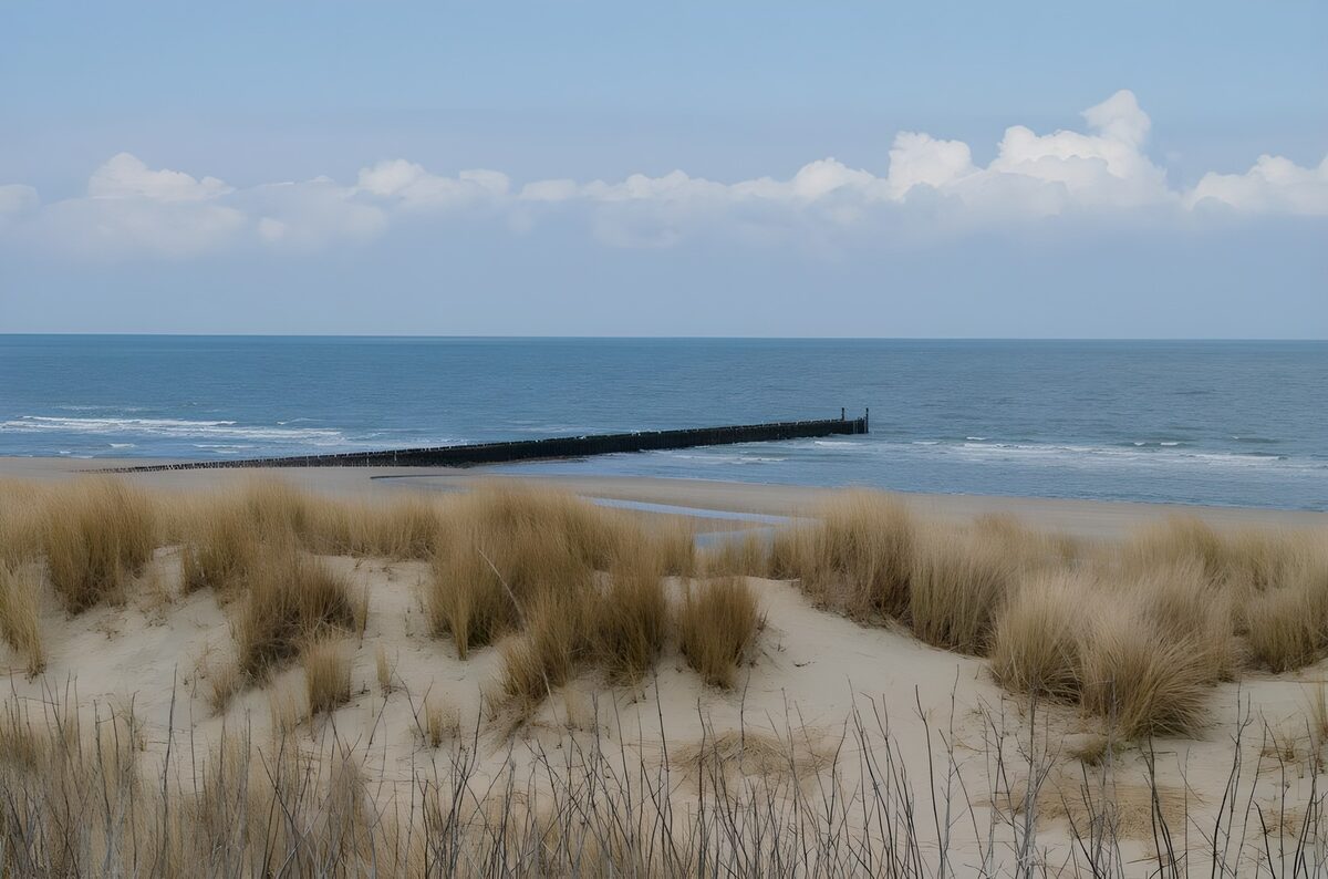 PDGIT9420798: Spiaggia con dune e frangiflutti