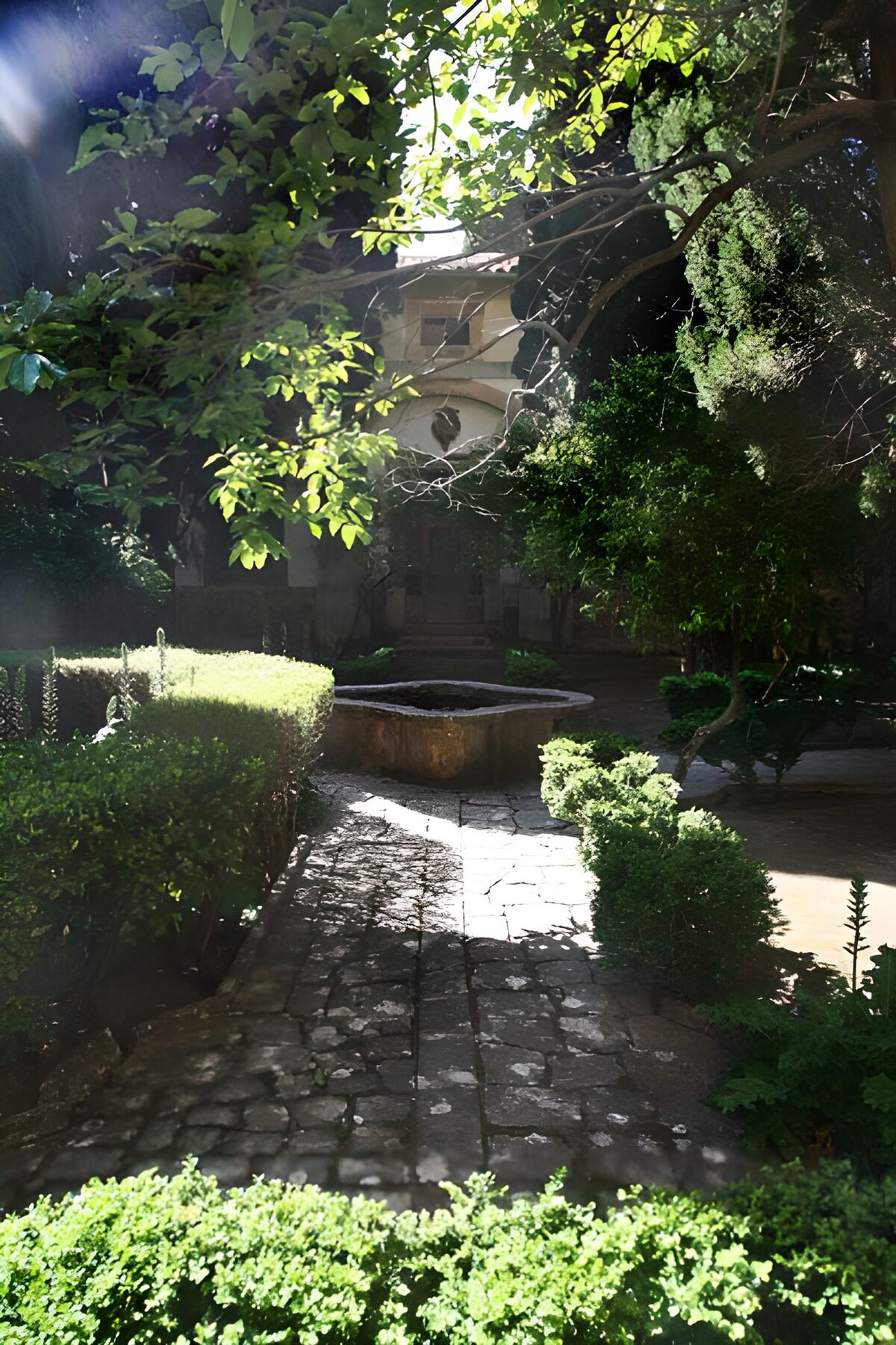 Cortile ombroso con vasca in pietra