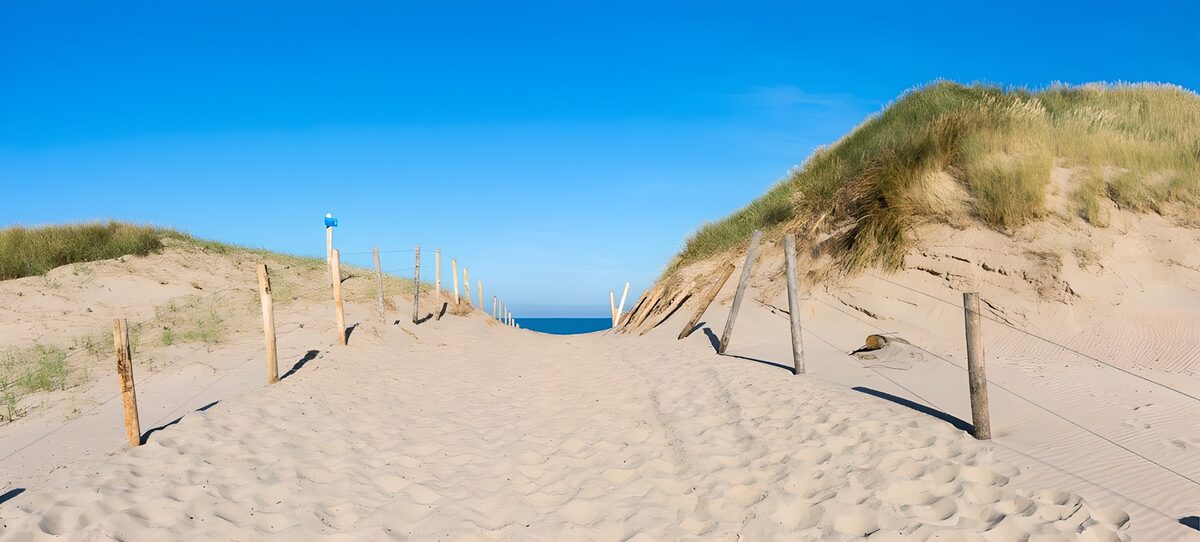 PDGIT9530964: Un filo di mare oltre le dune