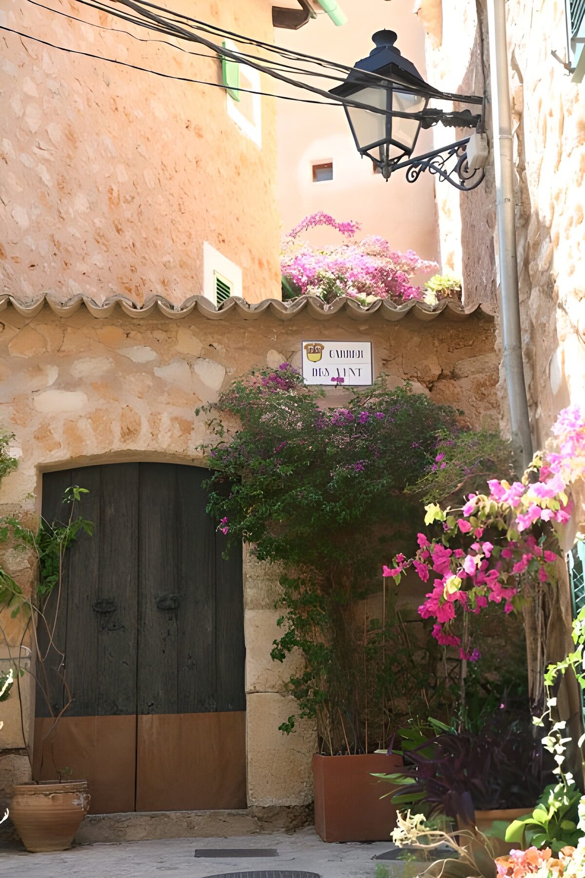 PDGIT8113673: Porta in legno e bouganville al sole