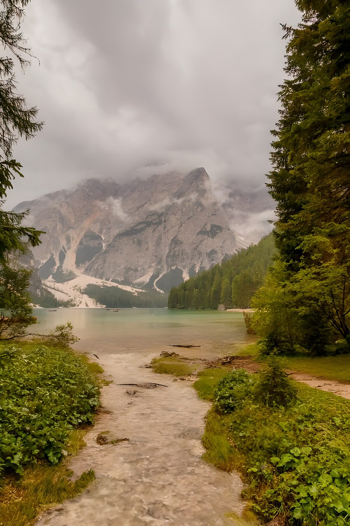 PDGIT3795443: Lago di montagna tra conifere e nebbia