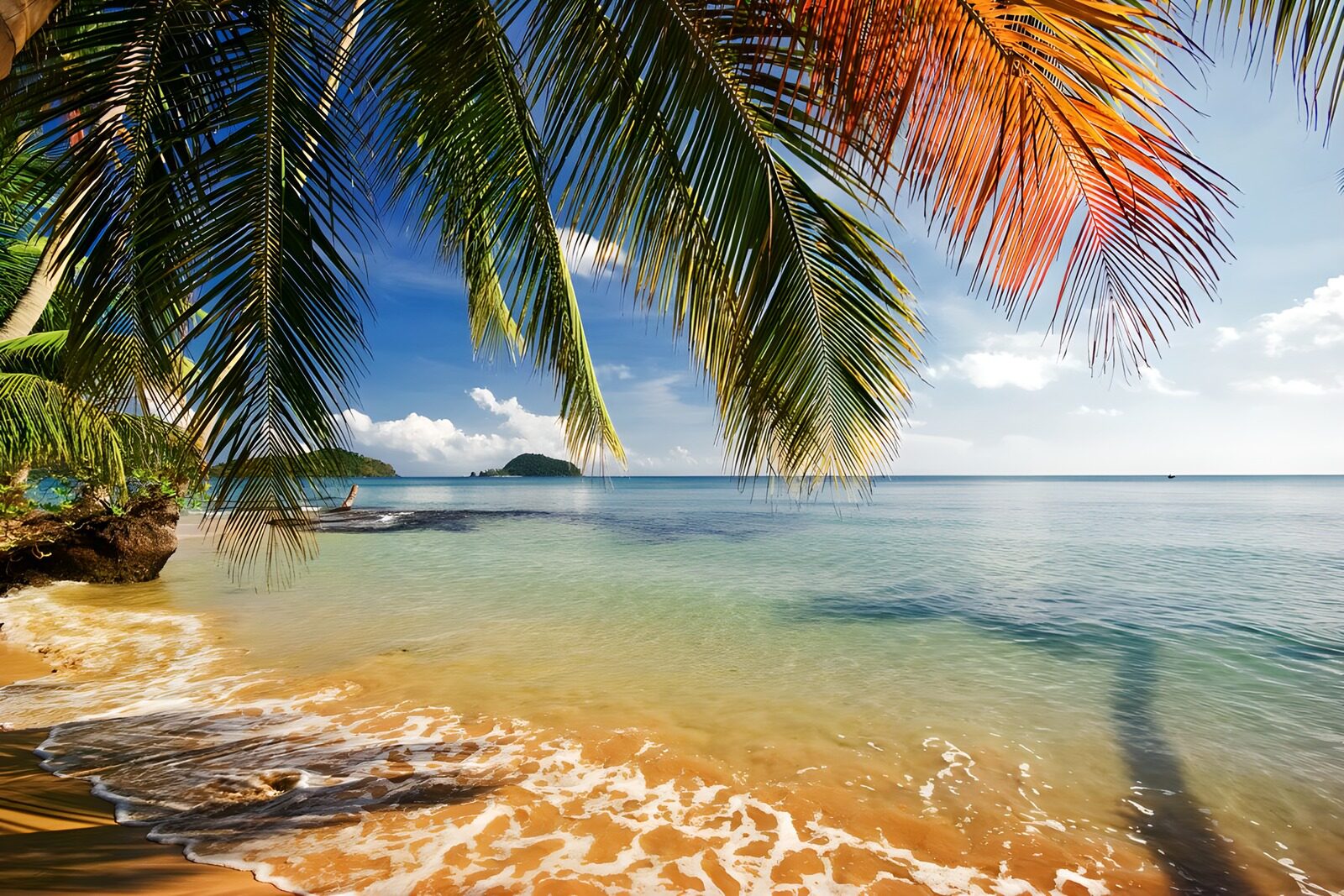 PDGIT9302496: Sulla riva tropicale, tra sole e palme