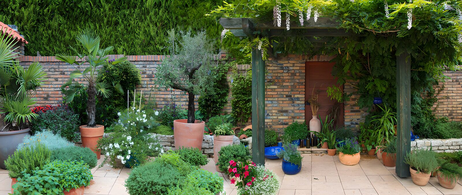 PDGIT4141698: Cortile rigoglioso tra vasi e pergola