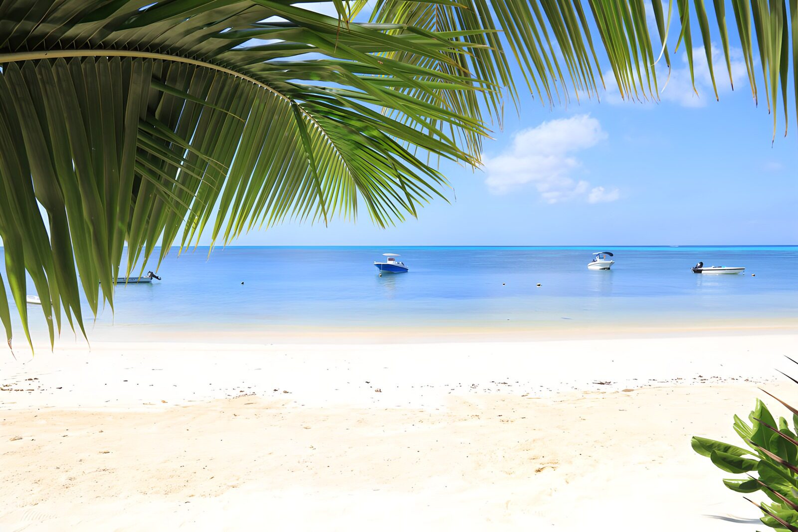 PDGIT1017566: Spiaggia tropicale, barche e quiete