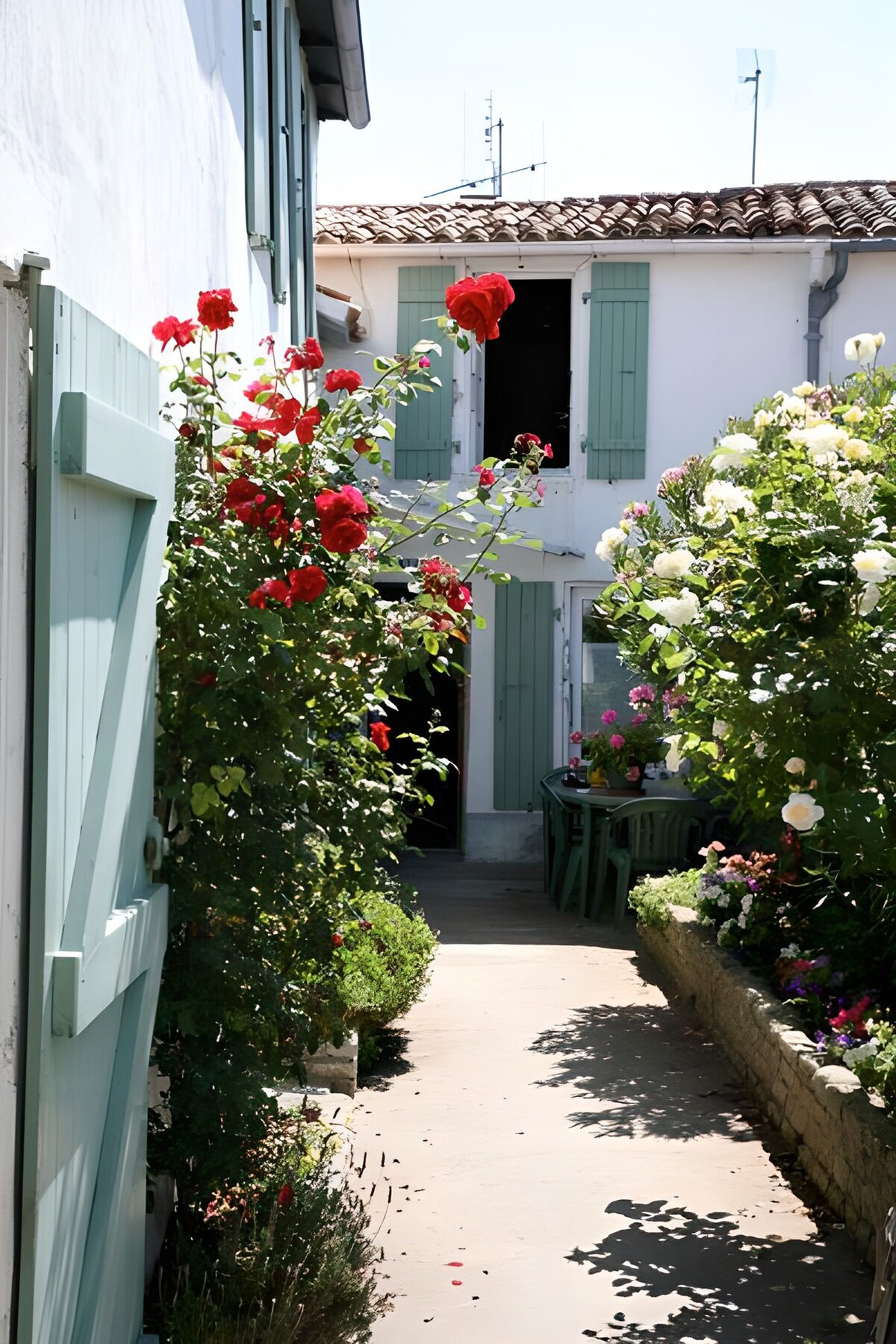 PDGIT4362654: Cortile di rose tra bianche pareti