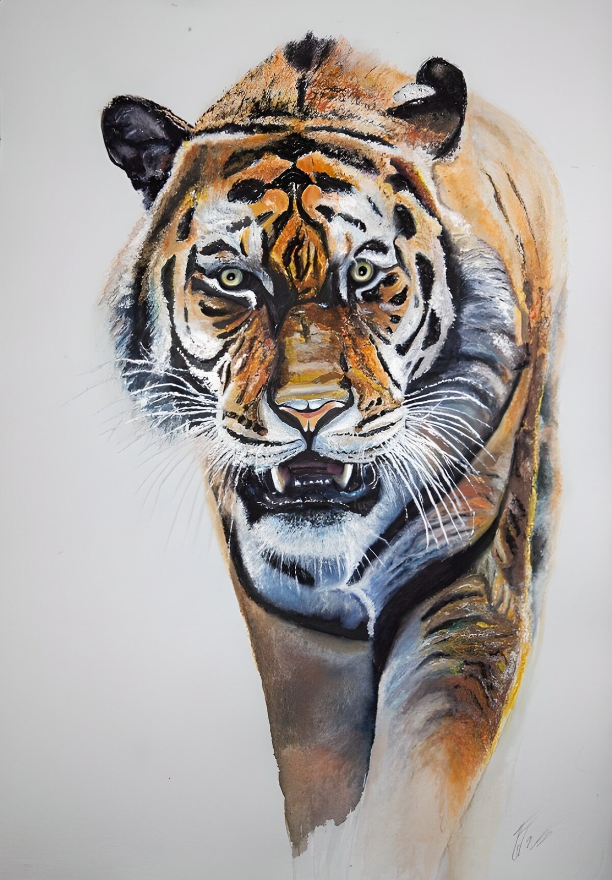 PDGIT6632161: Tigre ad acquerello, sguardo fiero