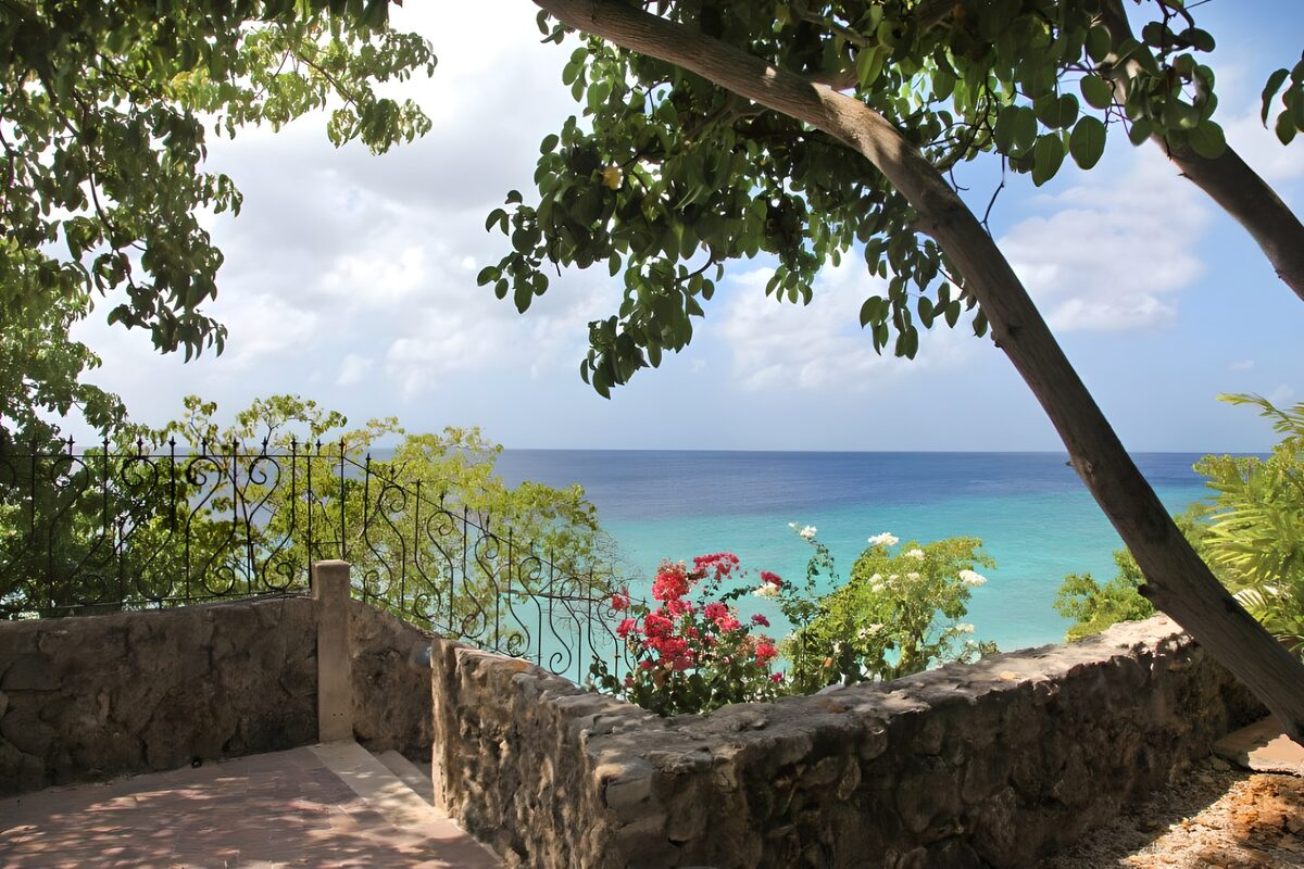 PDGIT2469131: Terrazza ombreggiata sul mare turchese