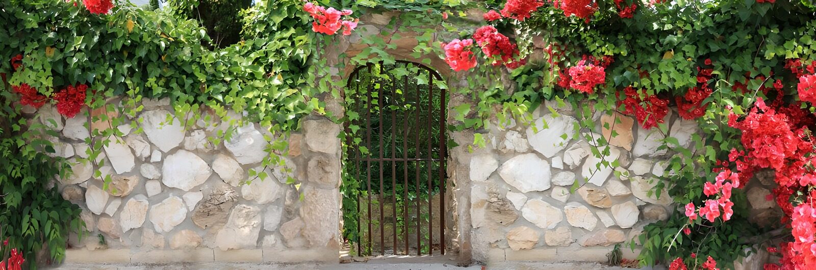 PDGIT7333994: Cancello in ferro tra pietre e fiori
